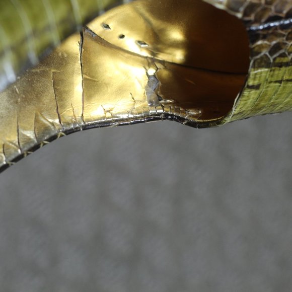 BCBG Girl Size 9B Olive Green Crocodile 3.5" Heels - Picture 7 of 8